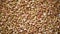 Red raw organic lentils texture rotation. Food ingredient background. Top view