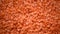 Red raw organic lentils texture rotation. Food ingredient background. Top view