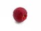 Red Raw Water Apple On White Background. Tropical fruit, crunchy, juicy, sweet and refresing from Martinique. Close up of Fresh