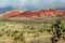 Red Red Canyon 5 Nevada