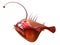 Red reflective anglerfish illustration
