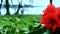 Red rhododendron in the foreground. In the background, the view of the park opens.