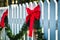 Red ribbon bow of green pine garland Christmas decoration