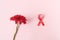 Red ribbon with a red gerbera flower on a pink background. The concept of medicine and human health care. World breast cancer