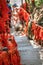 Red ribbons along trail in mountains in Zhangjiajie