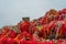 Red ribbons and padlocks along trail on Huashan Mountain