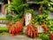 Red ribbons on a wishing tree at a Chinese temple in Hainan, China