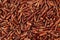 Red rice close-up background.