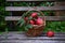 Red ripe apple in basket