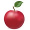 Red ripe apple photorealistic