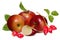 Red ripe apples and rose hip (dog rose hips).