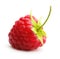 Red ripe berry raspberry