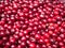 Red ripe cherry close up. View on pile of red cherry. Heap of red berries closeup. Ripe cherry piled on the ground