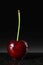 Red ripe cherry on a stalk