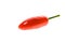 Red ripe jalapeno chili hot pepper from caribbean or mexico