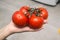 Red ripe juicy tomatoes lie on the palm of your hand. The hand holds a bunch of tomatoes. Vegetables for cooking.