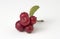 Red ripe lingonberry with leaves on white