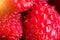 Red ripe raspberry closeup, Rubus idaeus