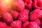 Red ripe raspberry closeup, Rubus idaeus macro close up