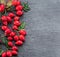 Red ripe rose-hips on gray graphite background. Top view