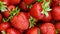 Red ripe strawberries close-up, top view