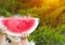 Red ripe watermelon in the hands of a little girl in a sundress. The child smiles and lifted up a large lobule. Childhood. Summer