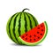 Red ripe watermelon vector icon