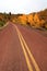 Red road in autumn scenery