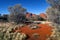 Red rock of Alice Sping under clear blue sky