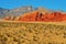 Red Rock Canyon National Conservation Area, Nevada