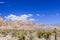 Red Rock Canyon panoramic, Mojave Desert, Nevada, USA