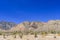 Red Rock Canyon panoramic, Mojave Desert, Nevada, USA