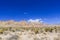 Red Rock Canyon panoramic, Mojave Desert, Nevada, USA