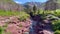 Red Rock Canyon in Waterton Lakes National Park in Alberta Canada