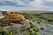 Red Rock Coulee Natural Area