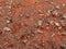 Red rock dry riverbed arid rock hiking trail nature earth background
