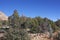 Red Rock Moonrise, Sedona