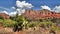 Red Rock mountains and cactus Sedona, Arizona