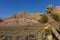 Red Rock mountains and desert on a clear summer day.