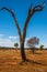 Red rock mountains in the Northern Territory of AustraliaHoliday in Australia - The Port Campbell National Park is a national park