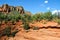 Red rock nature landscape in sedona