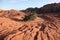 Red rock of the petrified sand dunes with a determined shrub