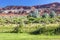 Red Rock Sandstone Mountains Green Grass Torrey Utah