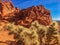 Red rock structure and cactus in Valley of Fire, Nevada, USA