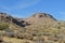 Red Rocks Canyon Brush California