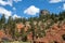 Red rocks in front of Devils Tower National Monument in Wyoming