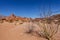 Red rocks of Quebrada de Cafayate, Salta, Argentina