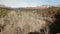Red Rocks of Sedona