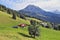 Red roof of a Swiss chalet on a hillside