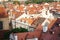 Red roof tiles panorama of Prague old town